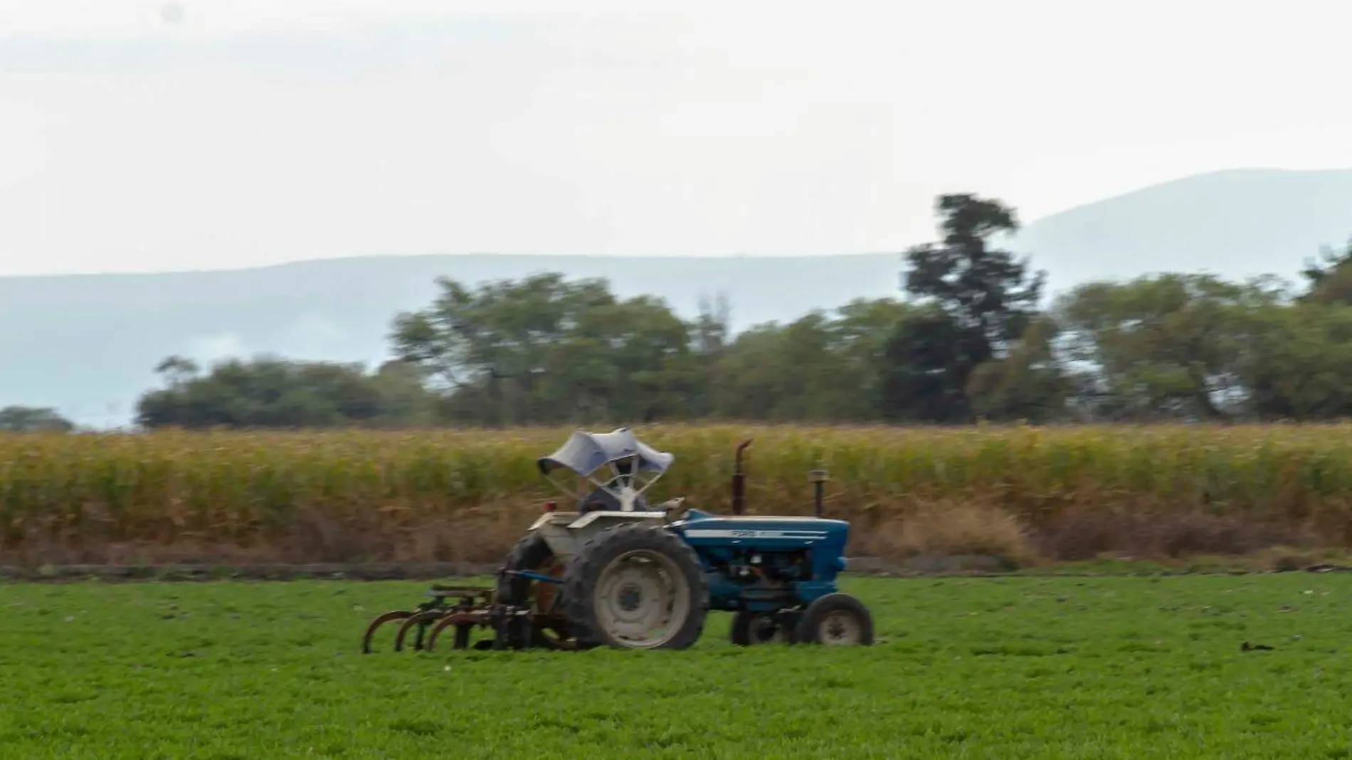 Impulsan a jóvenes para que se interesen en el campo.